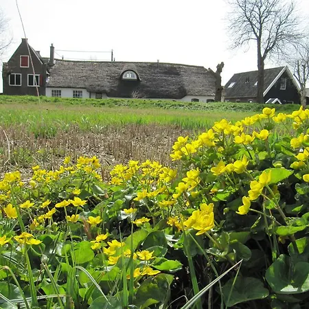 Boerderij Honswijck