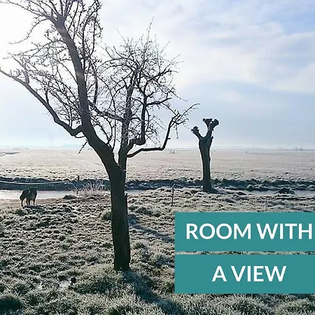 Hétvégi ház Boerderij Honswijck *