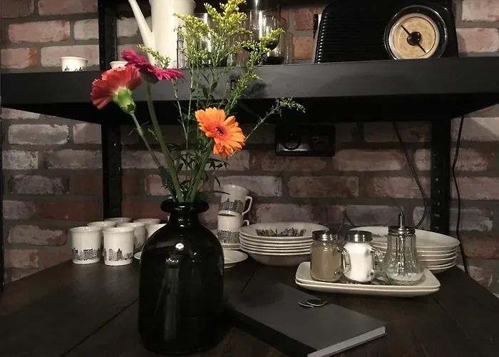 Boerderij Honswijck カントリーハウス *