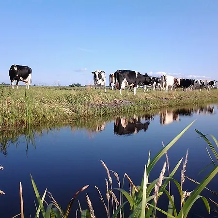 Boerderij Honswijck Weesp